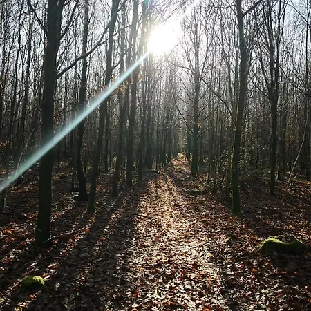 Chaleureux En Pleine Nature *